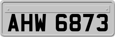 AHW6873