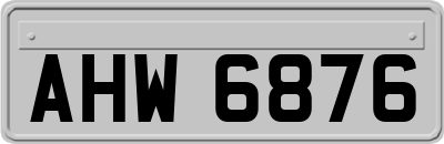 AHW6876