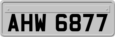 AHW6877