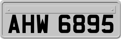 AHW6895