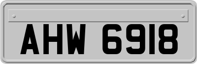 AHW6918