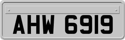AHW6919