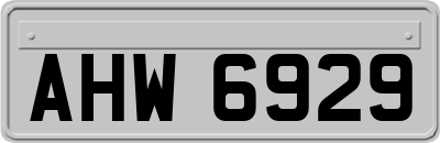 AHW6929