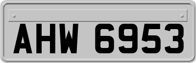 AHW6953