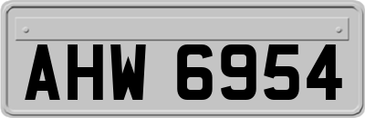 AHW6954