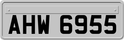 AHW6955
