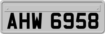 AHW6958