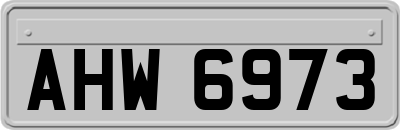 AHW6973