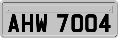 AHW7004