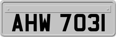 AHW7031