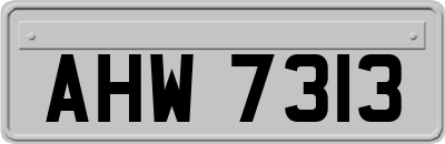 AHW7313