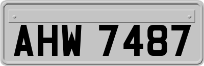 AHW7487