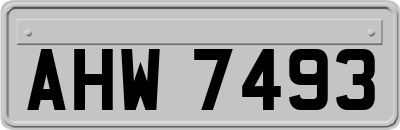 AHW7493
