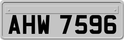 AHW7596