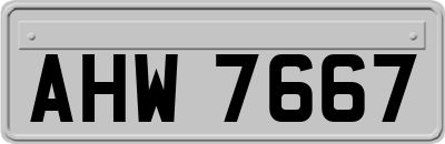 AHW7667