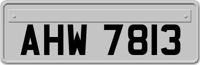 AHW7813