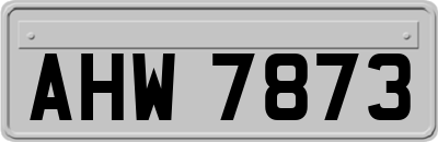 AHW7873