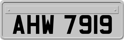 AHW7919