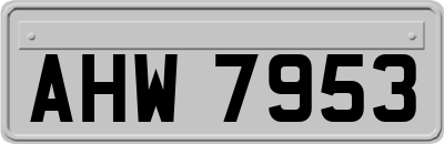 AHW7953