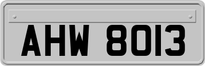 AHW8013