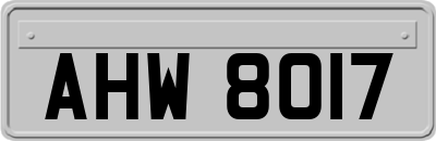 AHW8017