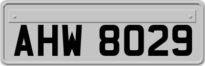 AHW8029