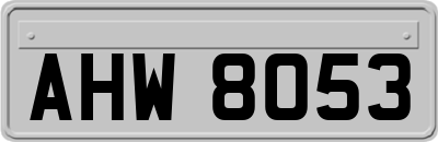 AHW8053