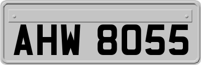 AHW8055