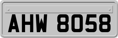 AHW8058