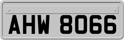 AHW8066