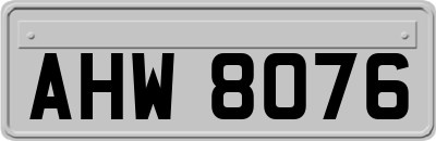 AHW8076