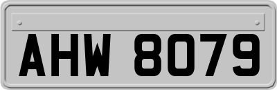 AHW8079