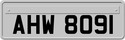 AHW8091
