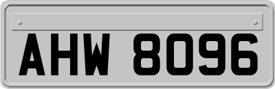 AHW8096