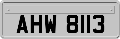 AHW8113