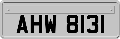 AHW8131