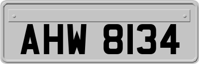 AHW8134
