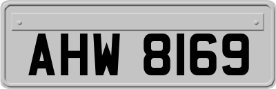 AHW8169