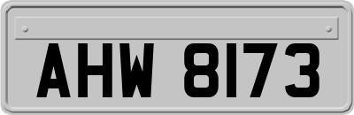 AHW8173