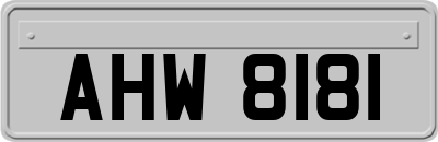 AHW8181