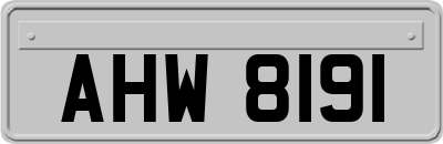 AHW8191