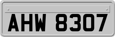 AHW8307