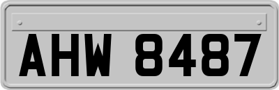 AHW8487