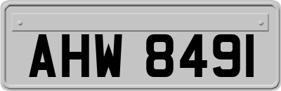 AHW8491