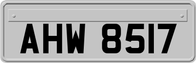 AHW8517