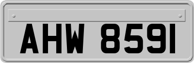 AHW8591