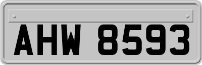AHW8593