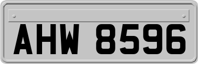 AHW8596