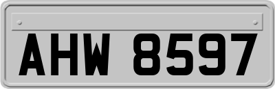 AHW8597