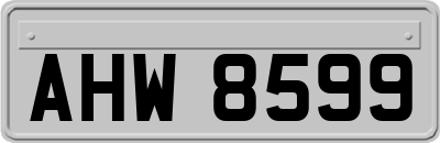 AHW8599